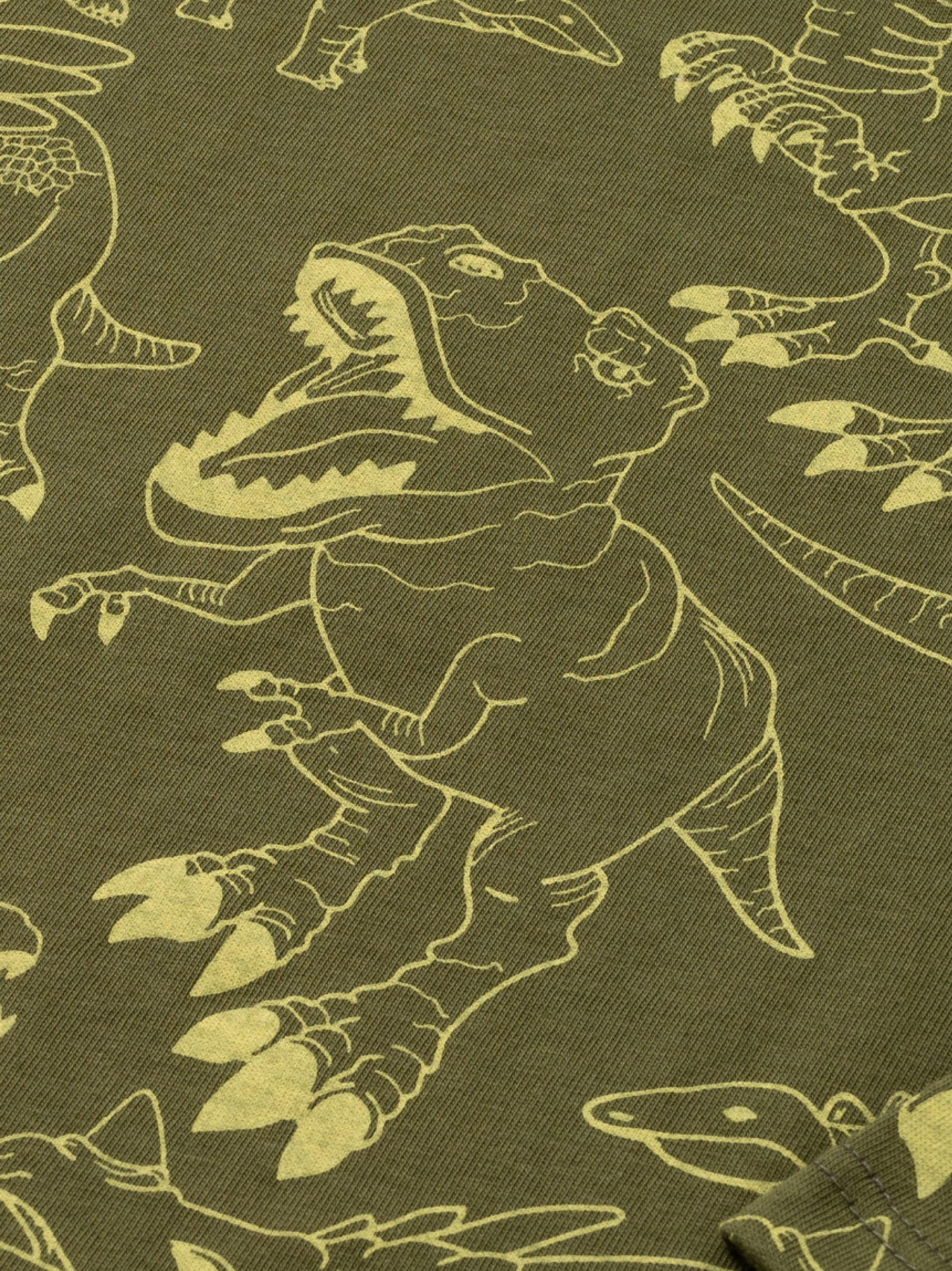 Organic T-shirt Dark Green Dino