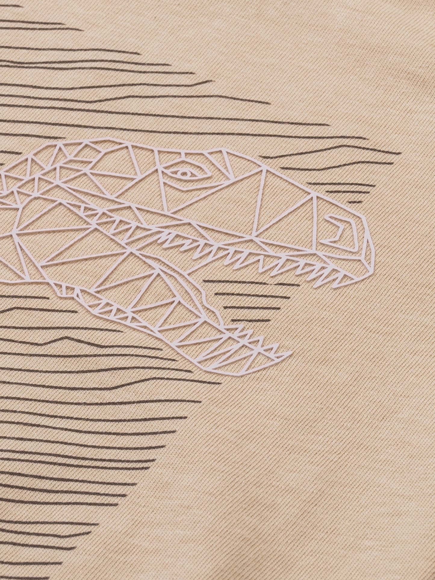 T-shirt Brown Rice Dino