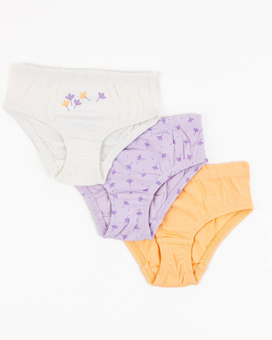 Girls' briefs FLOWERS 3 pieces
