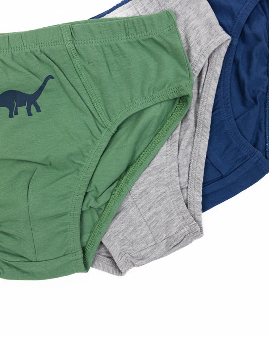 Boys' briefs DINO 3 pieces