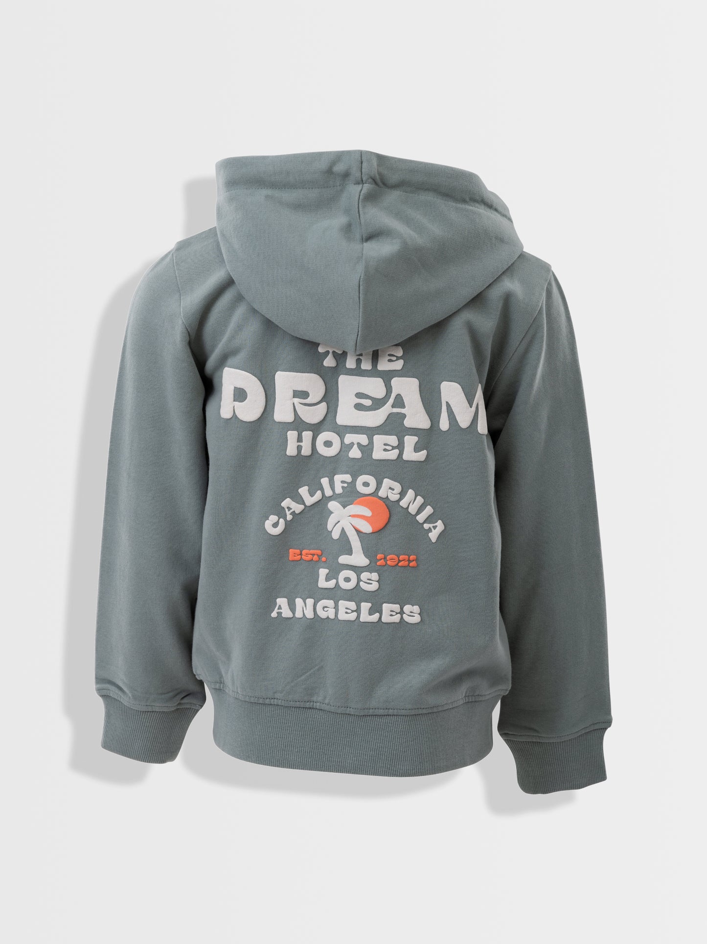 Hoodie Green The Dream