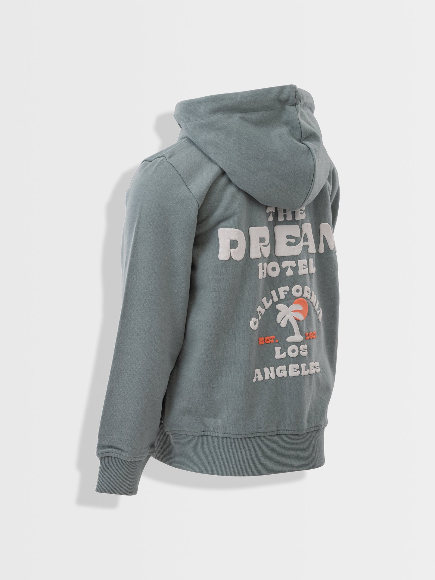 Hoodie Green The Dream