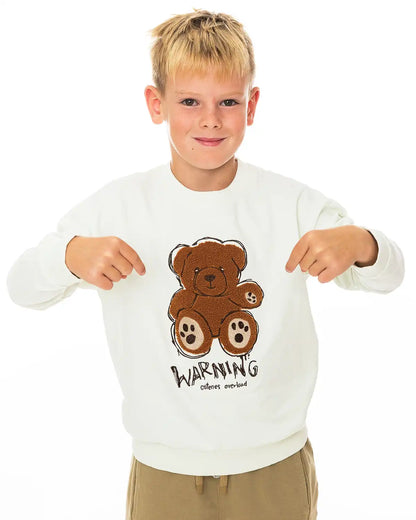 Boys Pullover Bear Warning