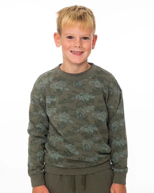 Boys Pullover Olive