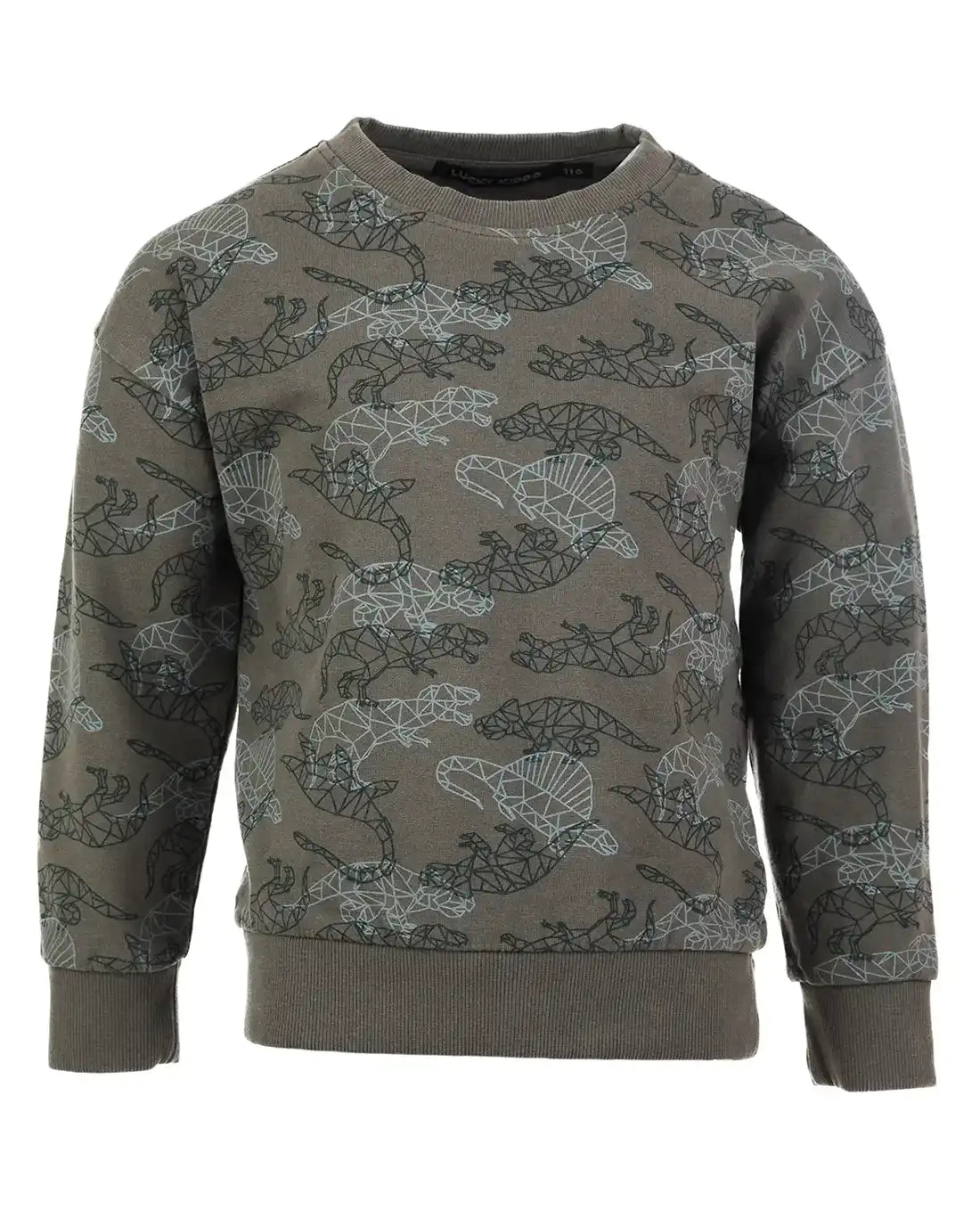 Boys' Sweater Olive