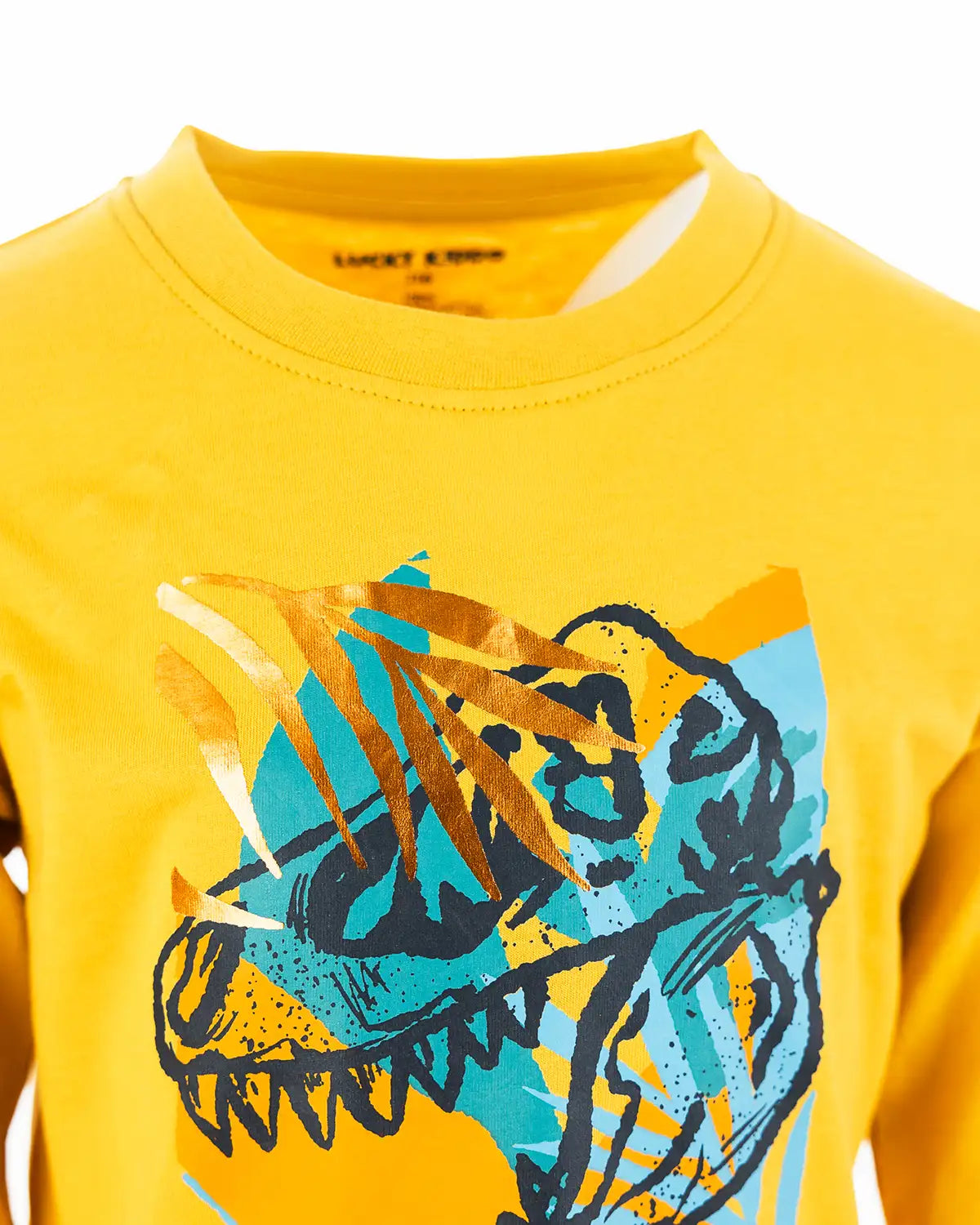 Boys Shirt Dino Adventure