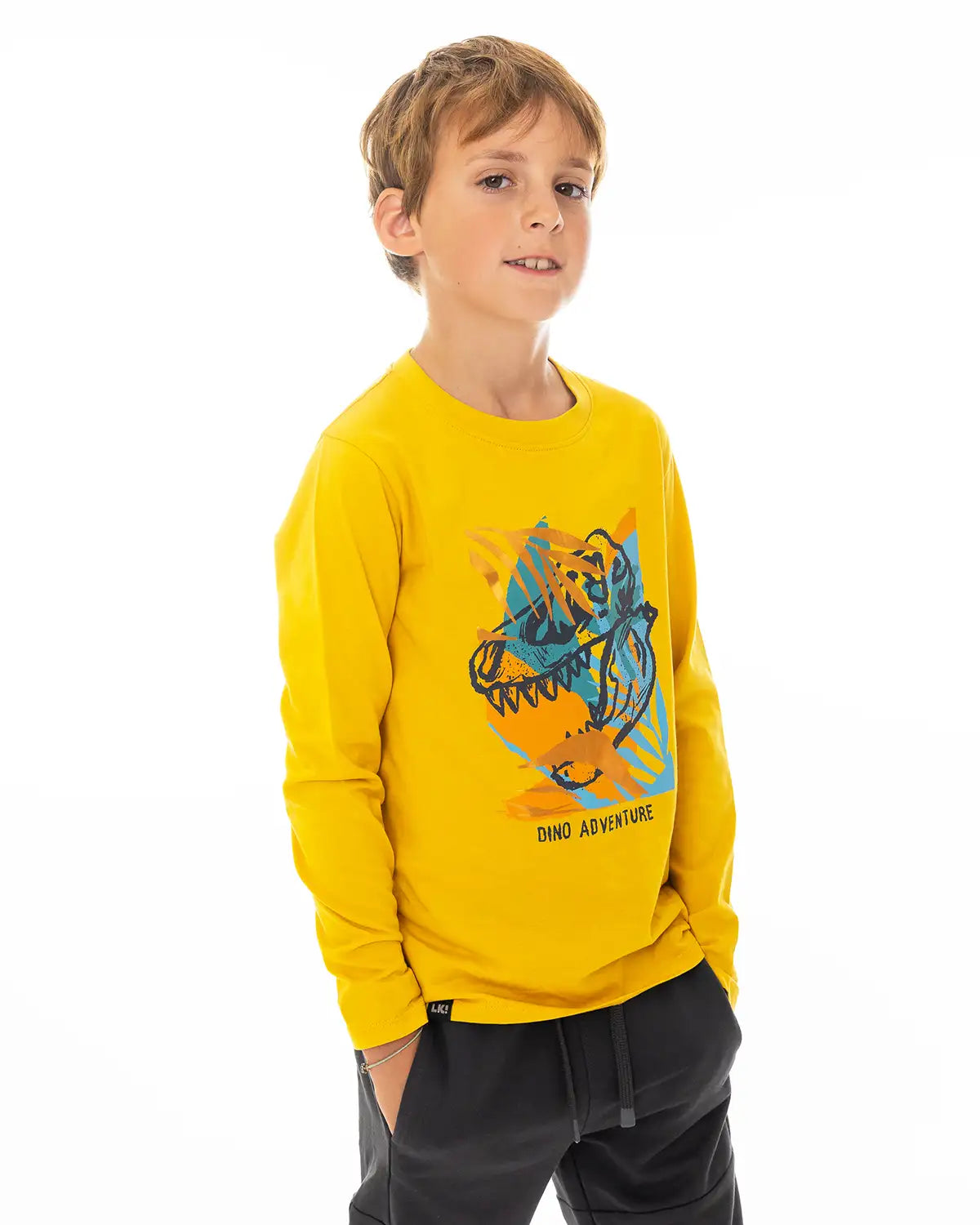 Boys Shirt Dino Adventure