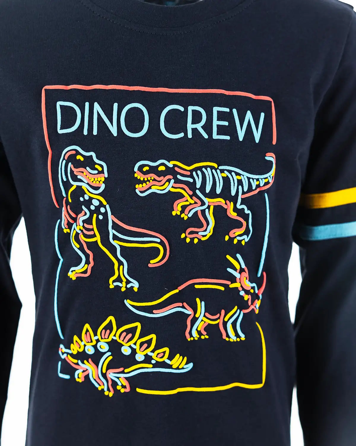 Boys Shirt Dino Crew