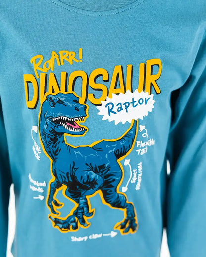 Boys Shirt Raptor