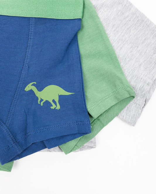 Boys' boxers DINO 3 pieces