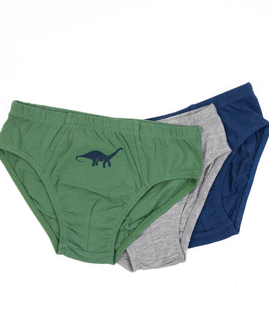 Boys' briefs DINO 3 pieces