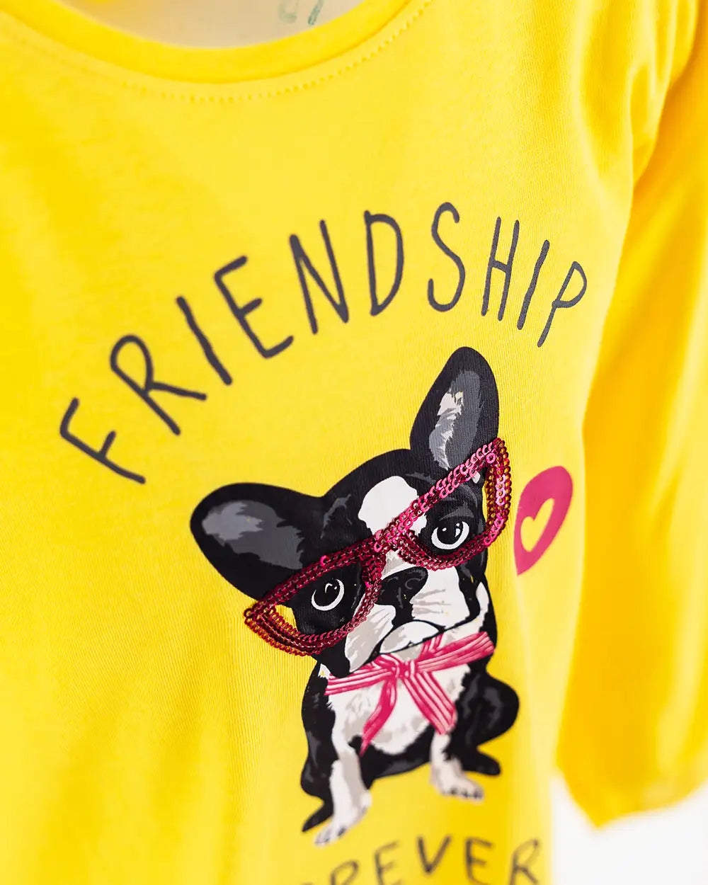 Girls Shirt Doggy Friendship