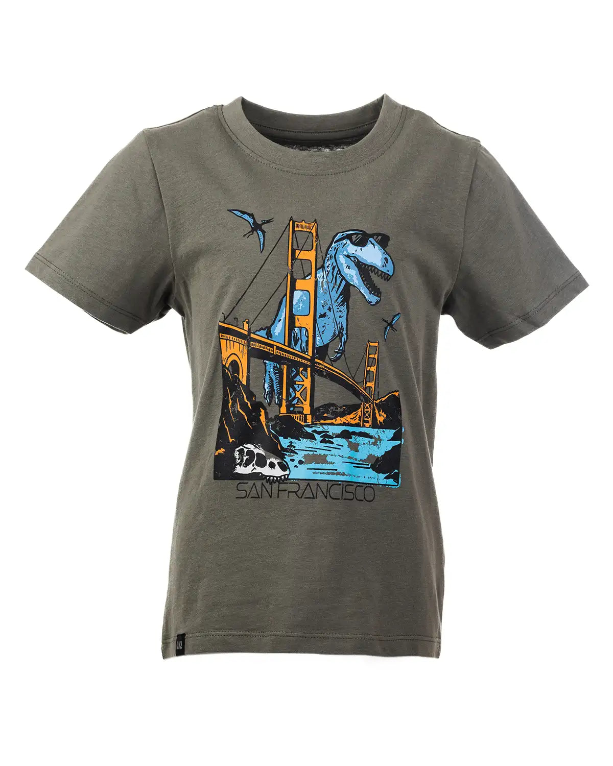 Boys T-shirt Wild Blue Dino