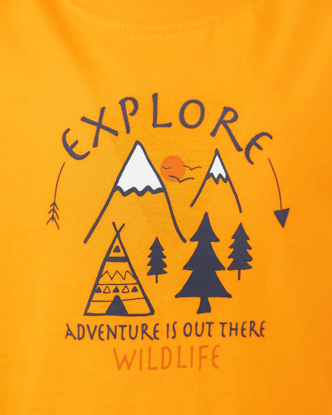 Boys T-shirt Wild Explorer