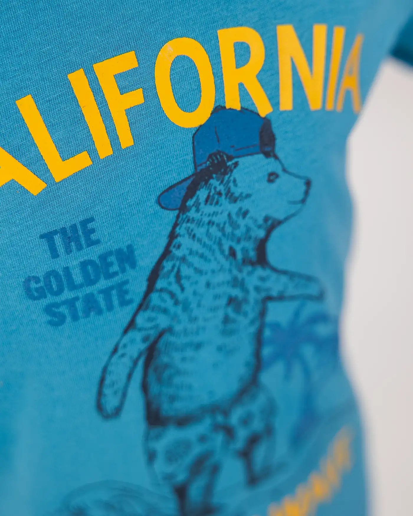 Boys T-shirt Blue California