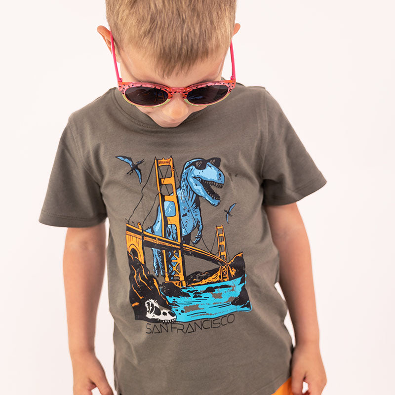 Boys T-shirt Wild Blue Dino