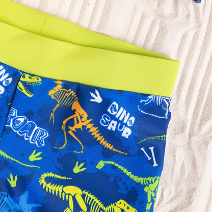 Boys Swim Boxers Dino