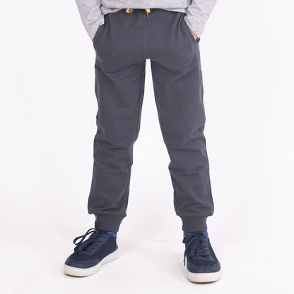 Boys Joggers Grey